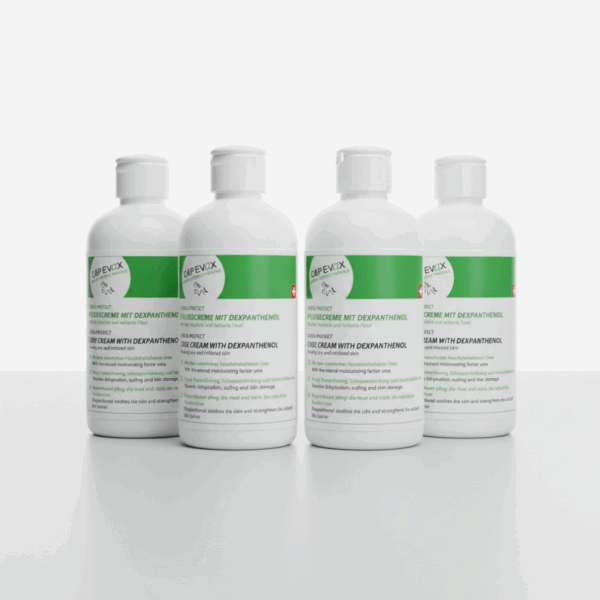4 für 2 Pflegecreme 250 ml CARE&PROTECT